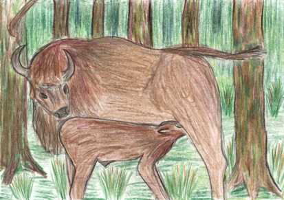 Ariel Cybulin, kl. VI, Szko�a Podstawowa w Kleszczelach