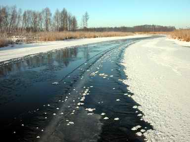 Rzeka Narew zim�