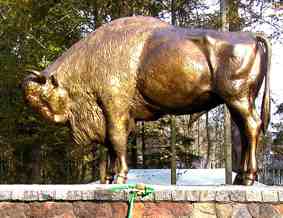 Nowy pomnik �ubra w Zwierzy�cu