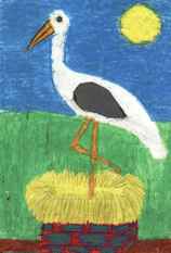 Barbara Sierota, SP w Kleszczelach