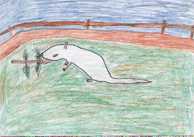 Mysz - Aldona Rozmus