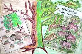 �ubr - gin�cy gatunek pod ochron�, Paulina Chodak, SP w Kleszczelach